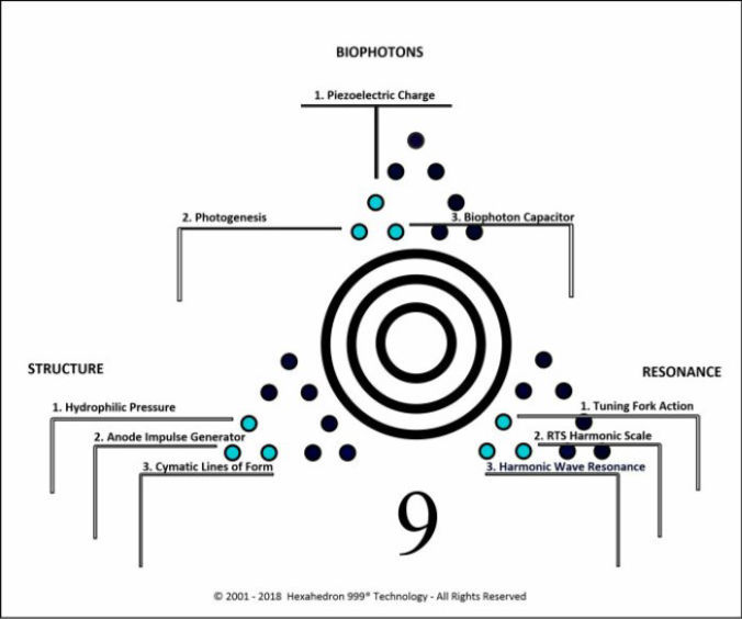 Phase 2 - Biophotons, Resonance, Structure - Hexahedron 999