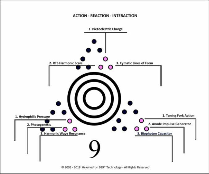 Phase 3 - Action, Reaction, Interaction - Hexahedron 999