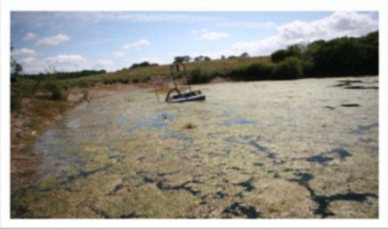 Contaminated Lake before using Hexahedron 999 Vortex Structured Water Unit