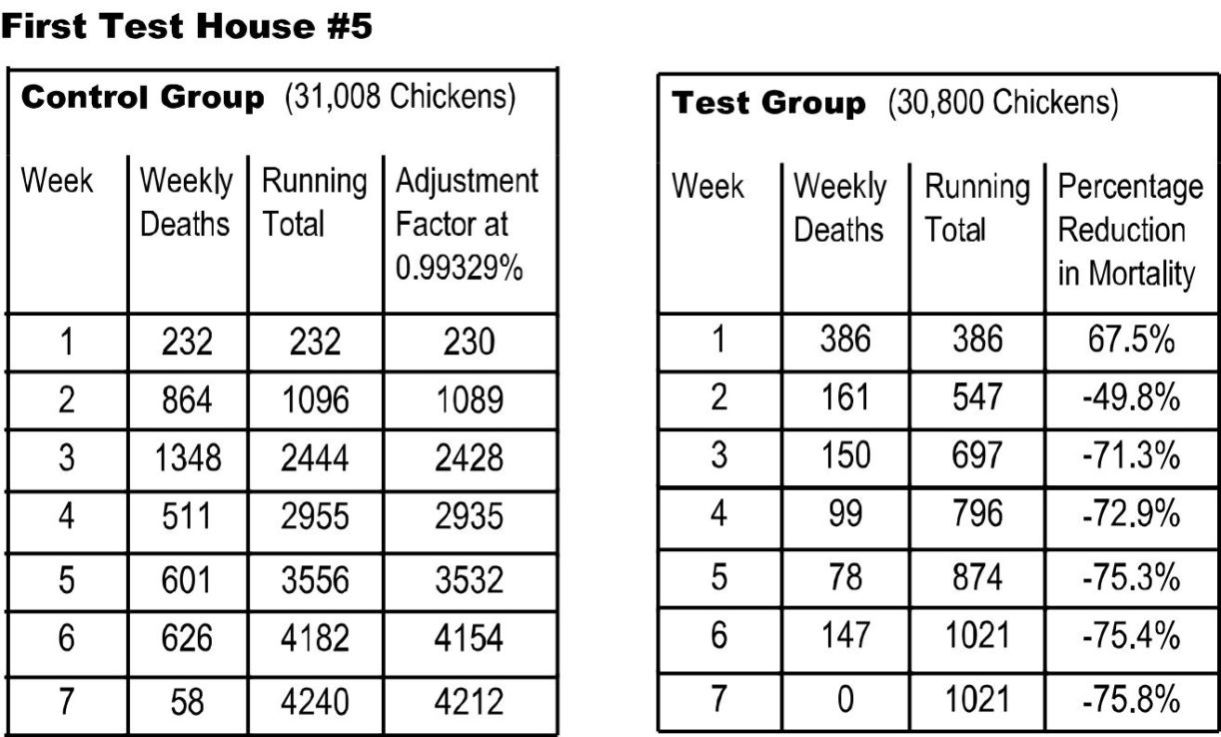 House 1:  Reduced Chicken Mortality using Vortex Water Technology