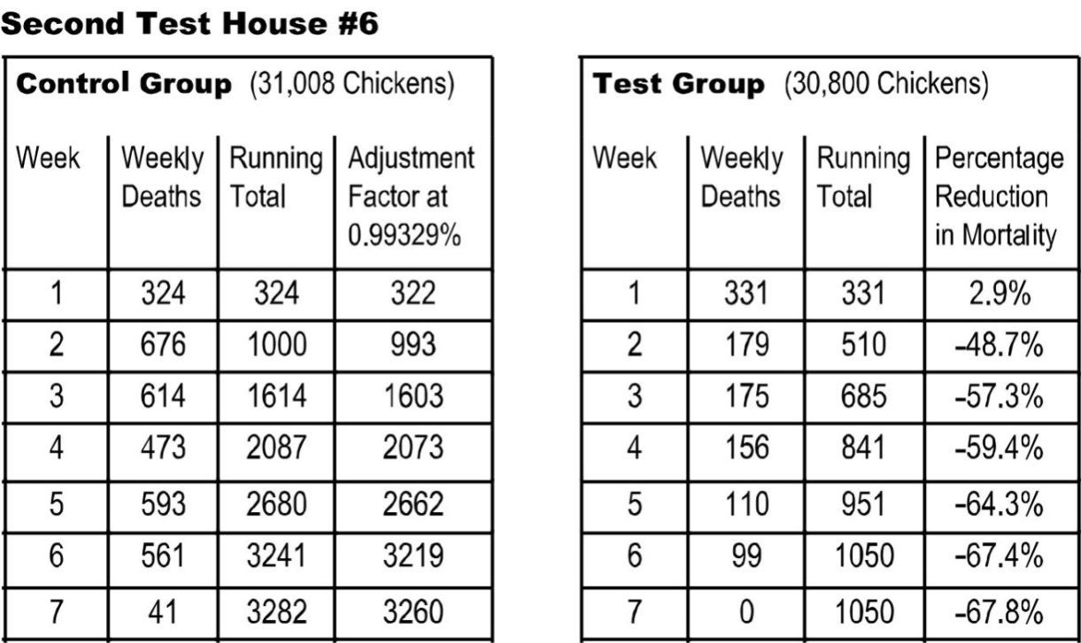 House 2:  Reduced Chicken Mortality using Vortex Structured Water
