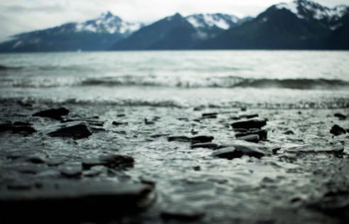 Different Levels of Structural Organization in Water