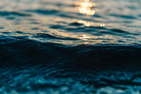 The Science of Structured Water