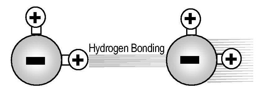 Image of Hydrogen Bonding in Revitalized Structured Water