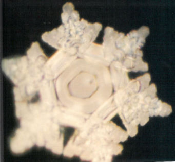 Water with Medium to Complex Structural Organization: image Masaru Emoto