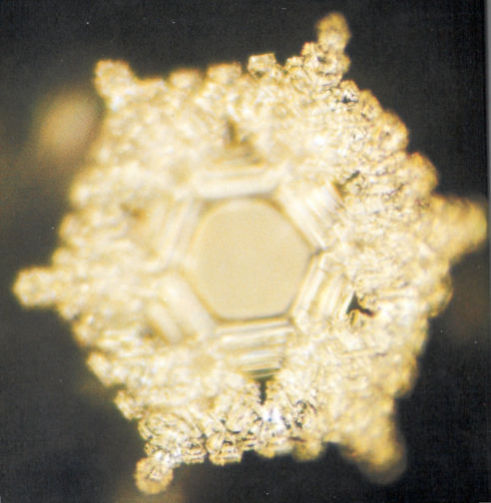 Masaru Emoto Messages from Water Volume1  Love-Appreciation page96