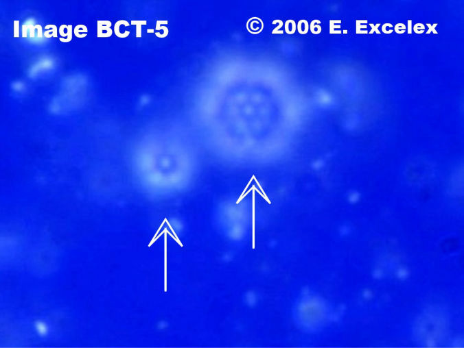 Generoactive Biophoton next to a Regeneroactive Biophoton 