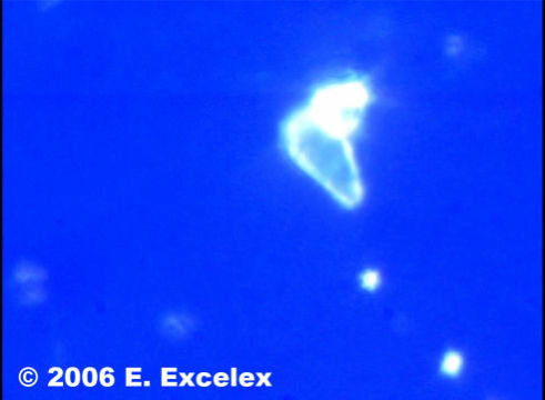 Somatoscope Image of Distilled Water with no biophotons