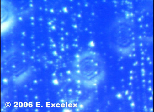 Somatoscope image distilled water with biophotons after adding Salt