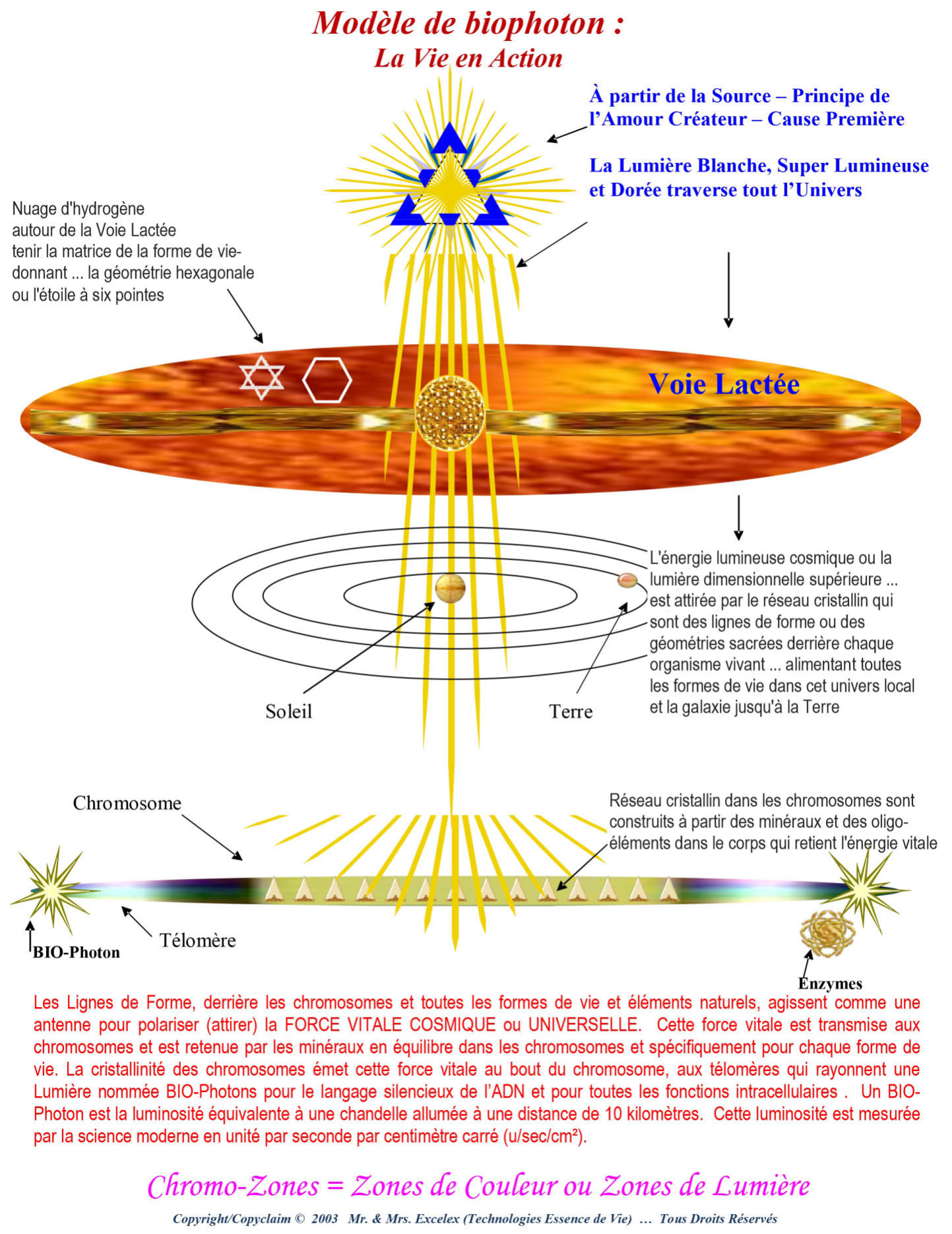 Chromosomes and Biophotons:  Life in Action Design by Excelex